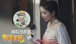 许凯前任爆料白鹿视频,真相背后引人深思