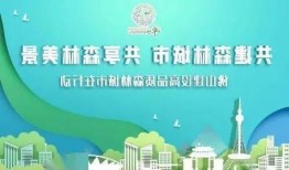 佛山市三水新闻爆料热线,见证城市脉搏，倾听民声心声
