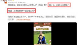 内娱最新消息爆料新闻,明星动向揭秘，娱乐圈风云再起