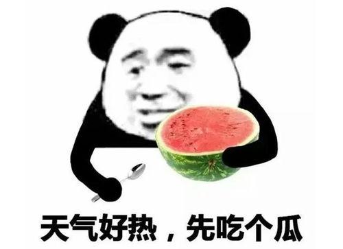 吃瓜表情怎么回,网络热词背后的文化现象